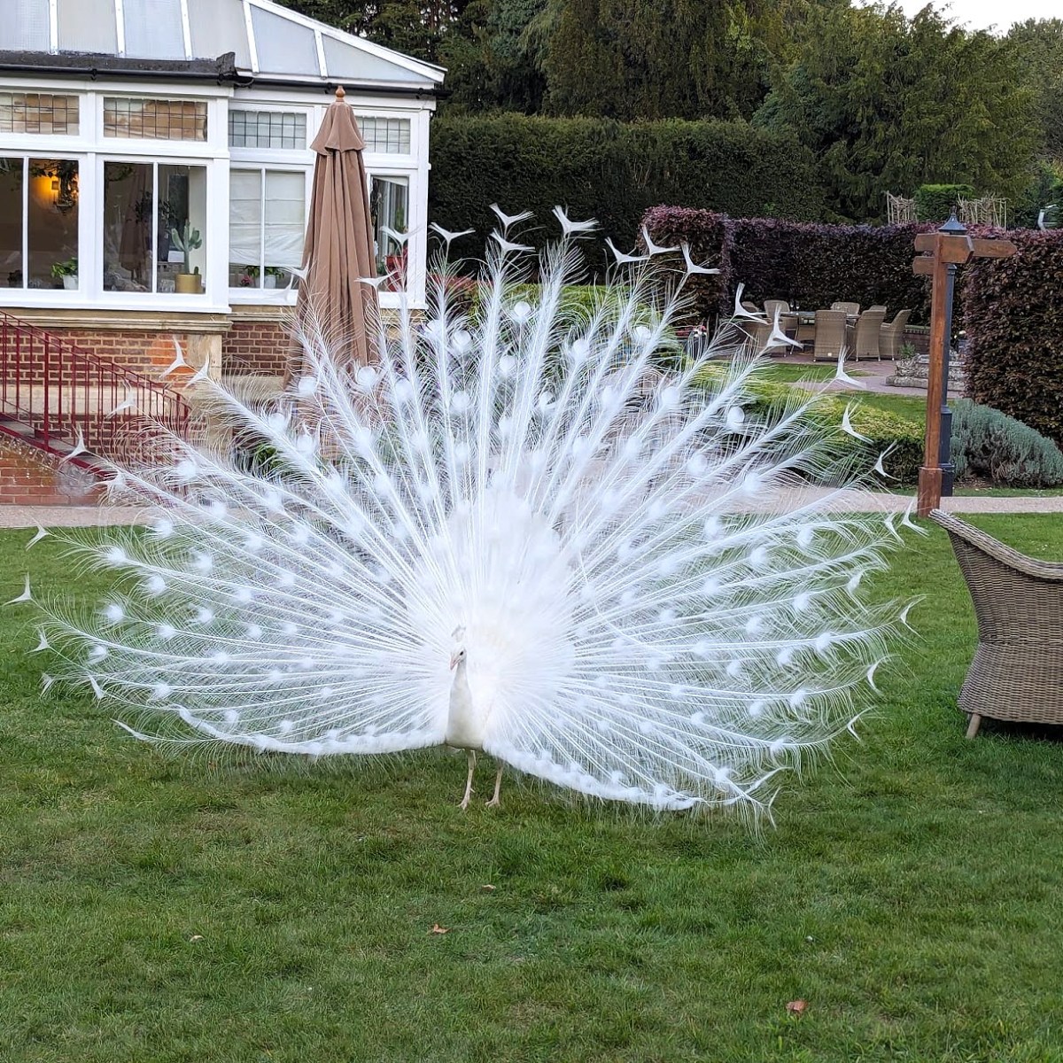 Spa Resort Champneys Tring e hotel Pandley&nbsp;Manor